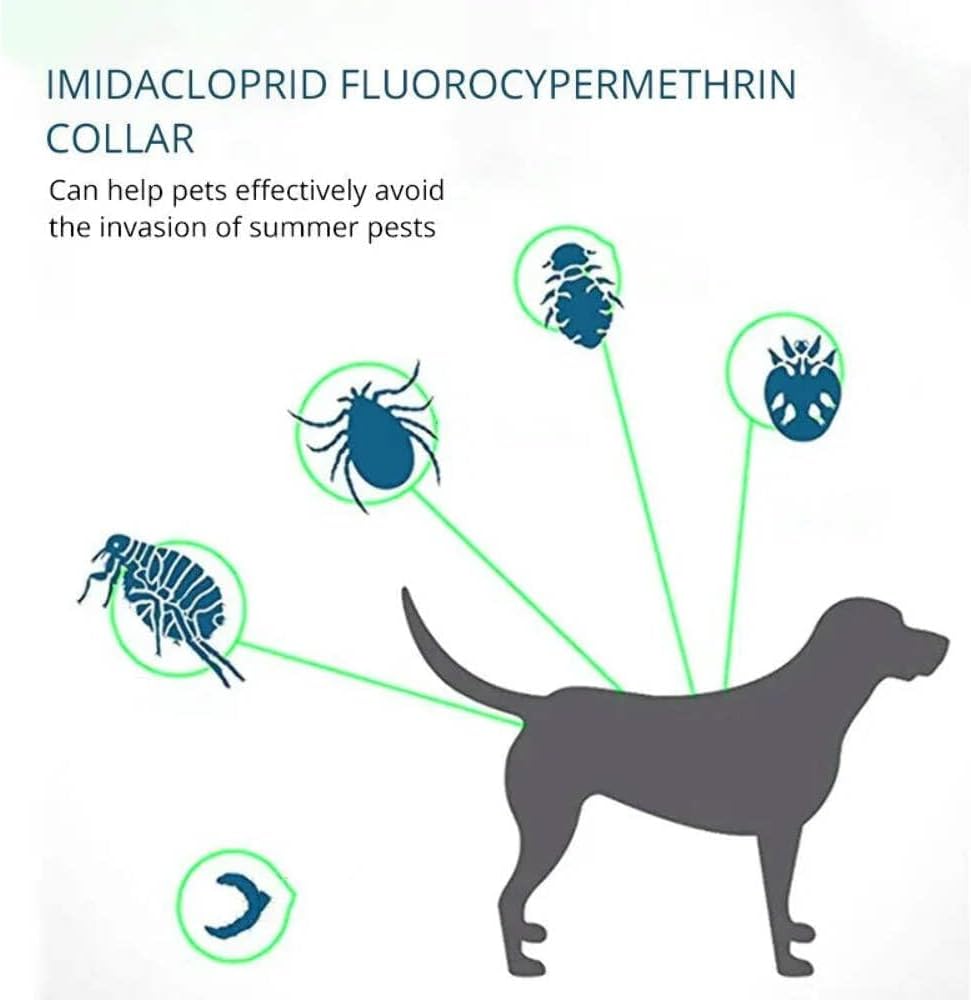 Flea Collar for Dogs 8 Months Natural Flea and Tick Collar Dog Protection – Adjustable Dog Flea Collar for Small, Medium, Large Puppy – Effective & Waterproof Lice, Tick and Larvae Repellent for Dogs