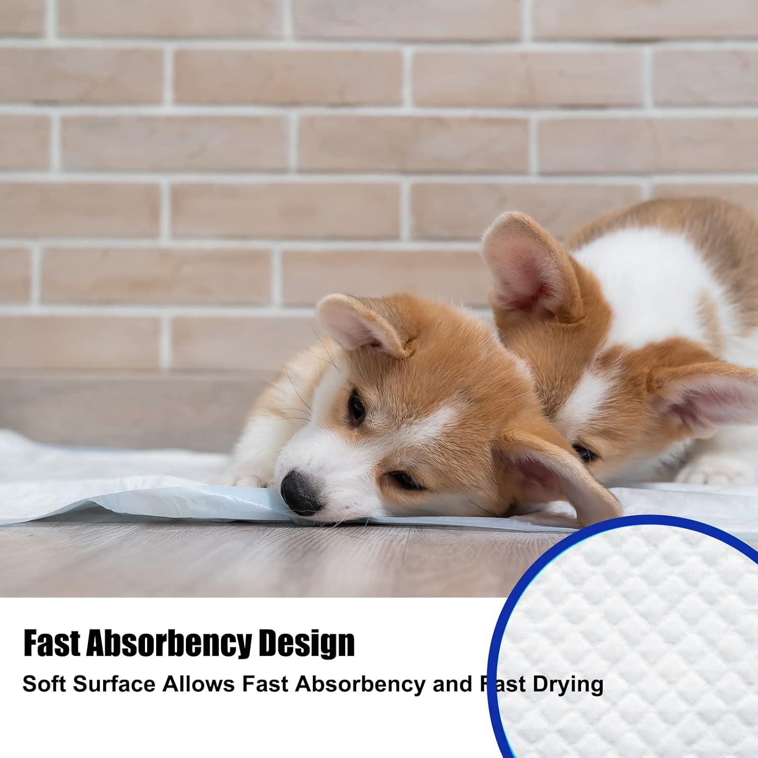 Dog Disposable Training Pad 60x60cm-100 Count |Large Puppy Pee Training Pads Super Absorbent & Leak-Proof | Disposable Pet Piddle and Potty Pads for Puppies | Dogs | Doggie (60x60P100)