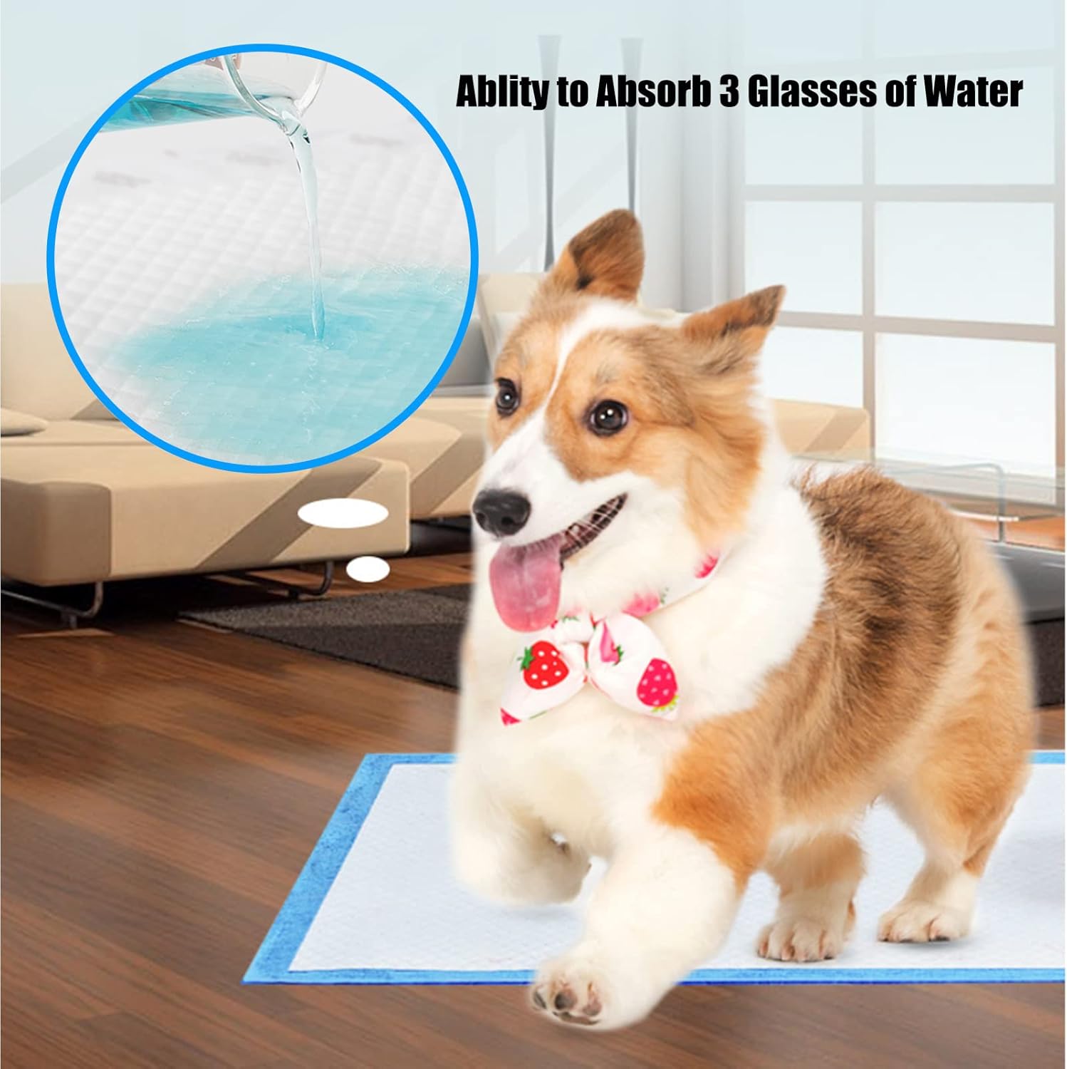 Dog Disposable Training Pad 60x60cm-100 Count |Large Puppy Pee Training Pads Super Absorbent & Leak-Proof | Disposable Pet Piddle and Potty Pads for Puppies | Dogs | Doggie (60x60P100)