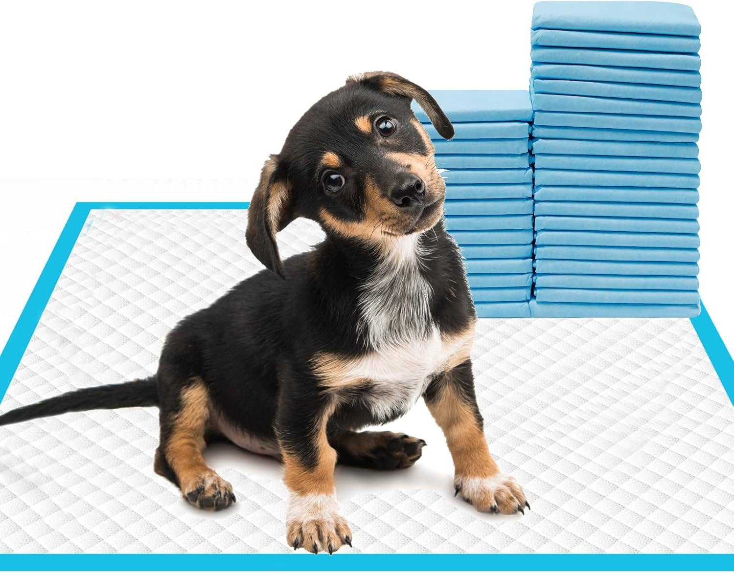 Dog Disposable Training Pad 60x60cm-100 Count |Large Puppy Pee Training Pads Super Absorbent & Leak-Proof | Disposable Pet Piddle and Potty Pads for Puppies | Dogs | Doggie (60x60P100)