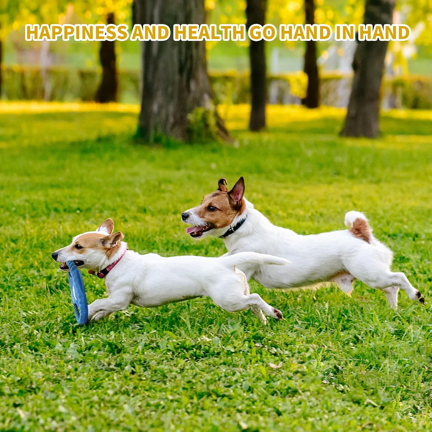 Jasonwell Dog Toys Durable Puppy Teething Toys Dog Chewing Rope Puppy Ball Interactive Dog Toy for Small Big Dogs Teether Rope Dog Toy Set