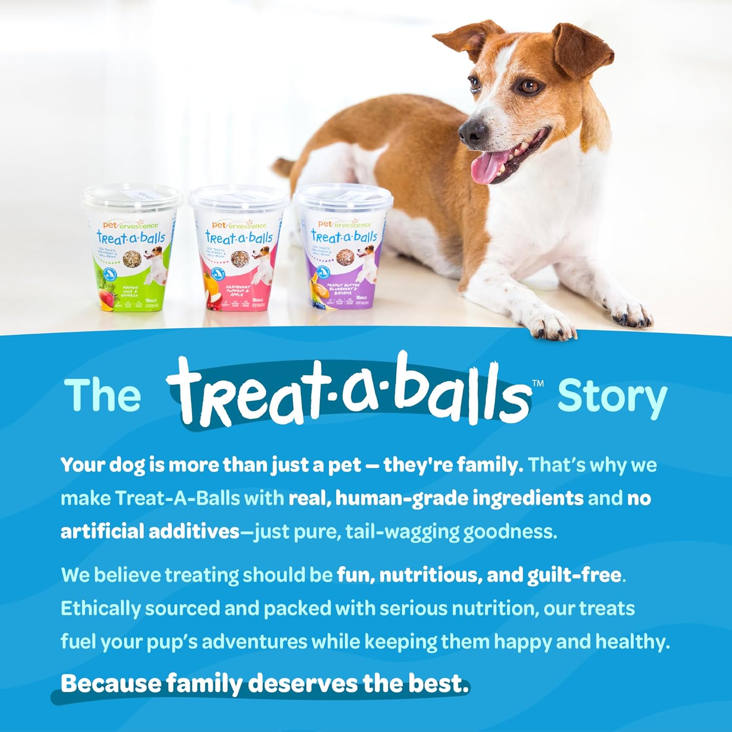 TREAT-A-BALLS Chewy & Soft Dog Treats, All Natural, Non-GMO, Vegan, Gluten Free, Low Calorie Dog Treats for All Breeds & Sizes - Made in New Zealand, Peanut Butter, Blueberry, Banana 18pk