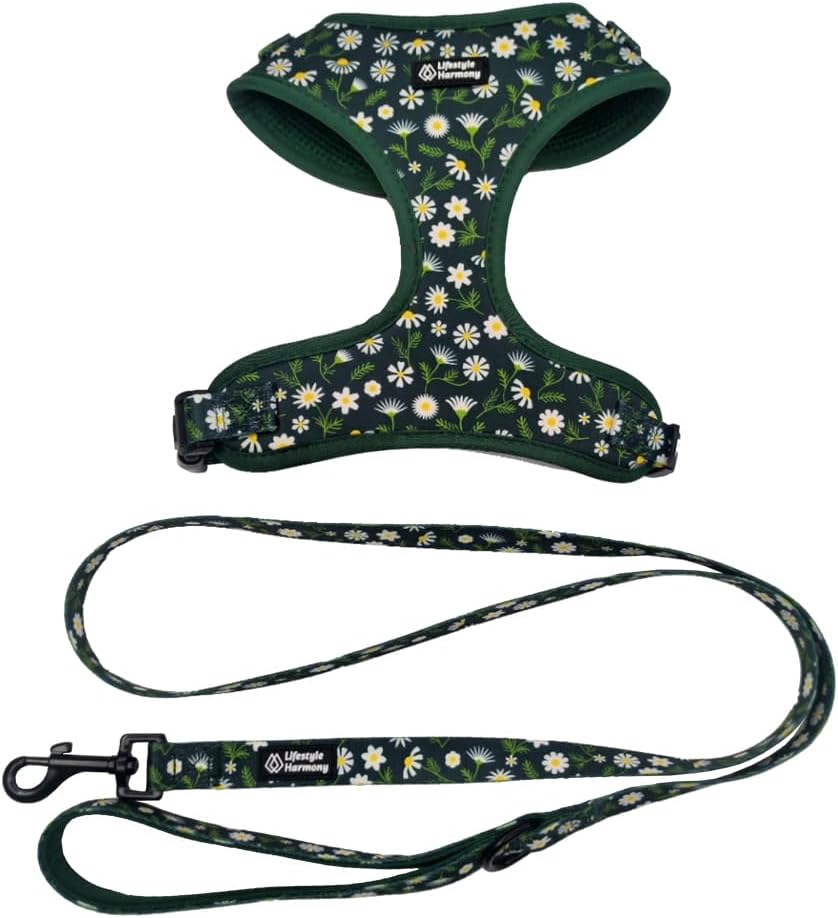 Adjustable Pet Harness and Leash Set—no-Pull, Lightweight, Breathable, Soft-Padded, Escape-Proof Comfortable for Puppies,Small Dogs,Cats,All Fur Animals. Leash for Easy Walks (Large, Floral)