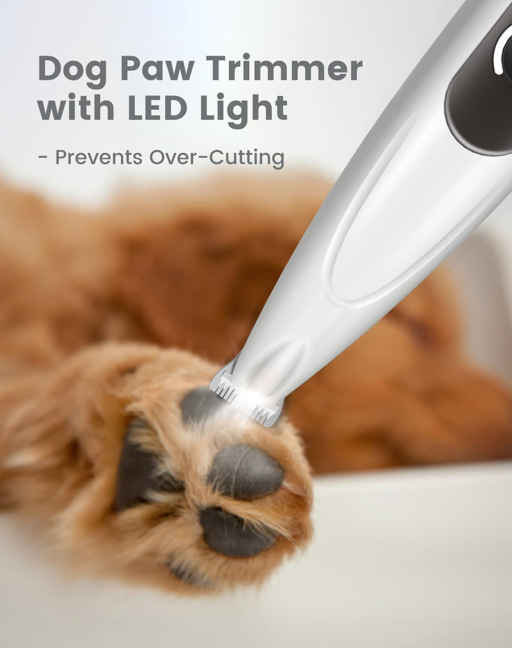 2 in 1 Dog Nail Grinder Quiet and Dog Paw Trimmer, Powerful Painless Electric Dog Nail Trimmers for Large Medium Small Dogs, Rechargeable Cordless Dog Hair Clippers for Paws, Ears, Eyes, Rump (White)