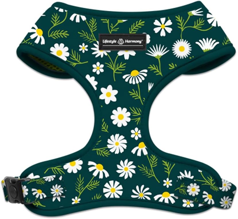 Adjustable Pet Harness and Leash Set—no-Pull, Lightweight, Breathable, Soft-Padded, Escape-Proof Comfortable for Puppies,Small Dogs,Cats,All Fur Animals. Leash for Easy Walks (Large, Floral)