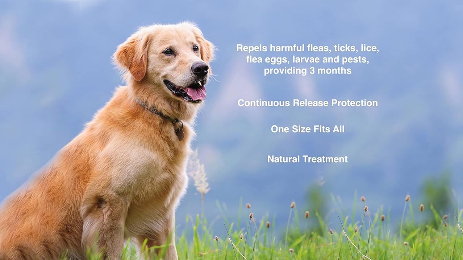 Flea Collar for Dogs 8 Months Natural Flea and Tick Collar Dog Protection – Adjustable Dog Flea Collar for Small, Medium, Large Puppy – Effective & Waterproof Lice, Tick and Larvae Repellent for Dogs