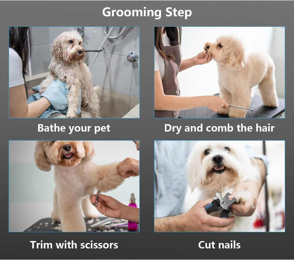 Dog Grooming Scissors Kit with Safety Round Tips, Stainless Steel Professional Dog Grooming Shears Set - Thinning, Straight, Curved Shears and Comb for Long Short Hair for Dog Cat Pet