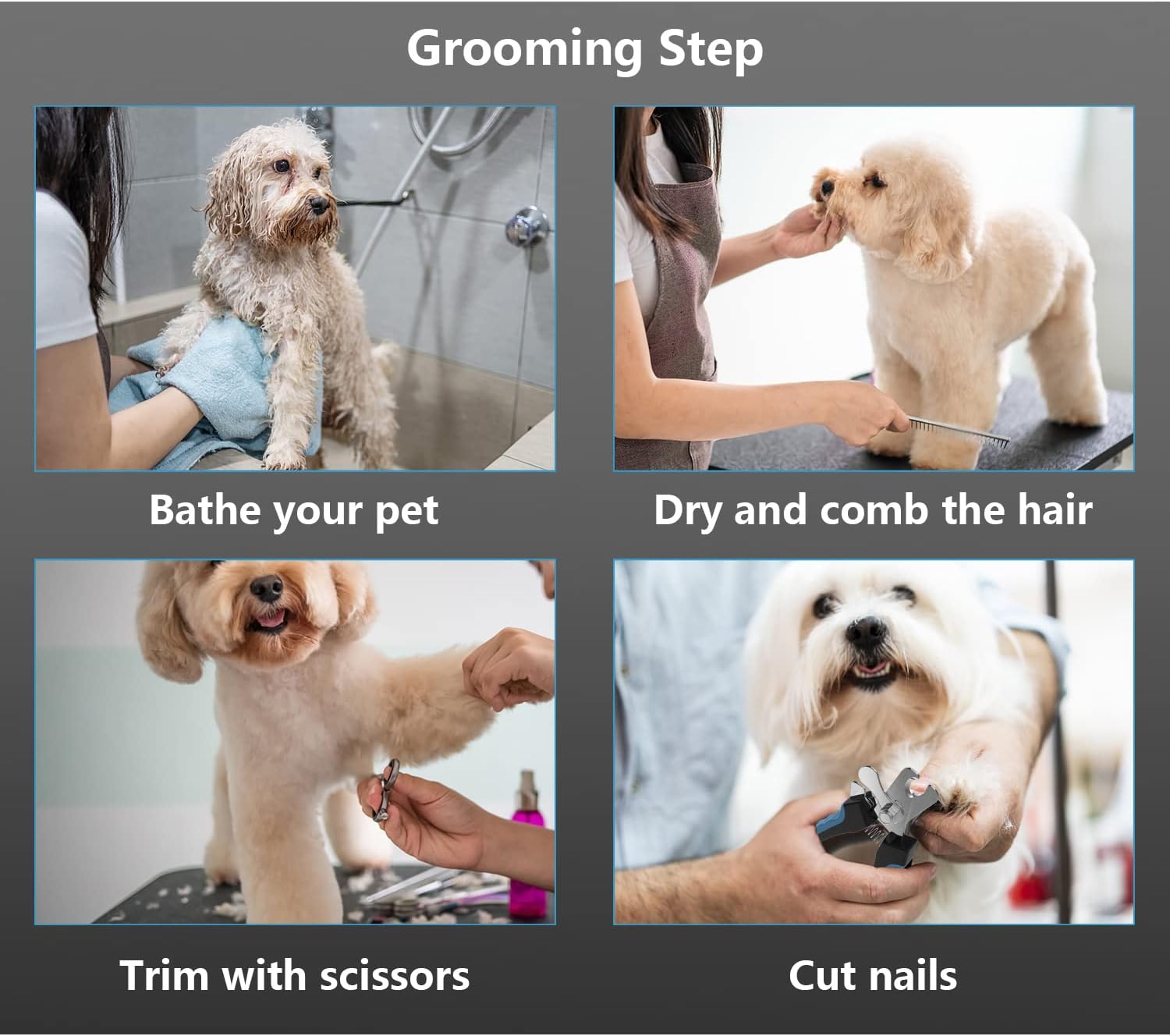 Dog Grooming Scissors Kit with Safety Round Tips, Stainless Steel Professional Dog Grooming Shears Set - Thinning, Straight, Curved Shears and Comb for Long Short Hair for Dog Cat Pet