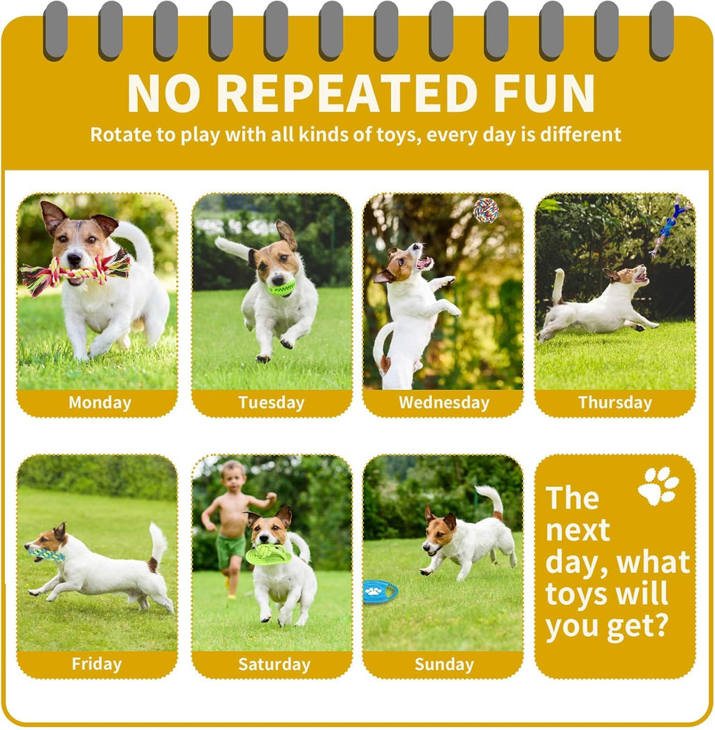 Jasonwell Dog Toys Durable Puppy Teething Toys Dog Chewing Rope Puppy Ball Interactive Dog Toy for Small Big Dogs Teether Rope Dog Toy Set